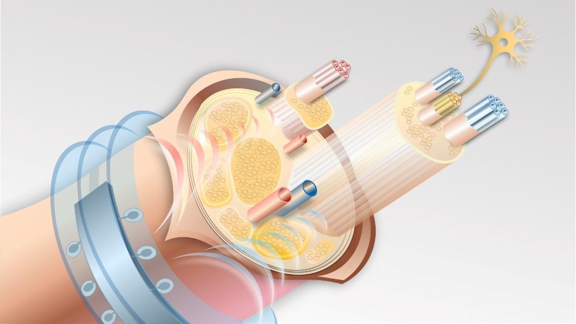 geraldfinken's tweet image. Researchers have developed a whole new generation of #microimplants that can be charged completely wirelessly using ultrasound waves.

New microimplants as a step towards #personalized #medicine innovationorigins.com/en/new-generat…