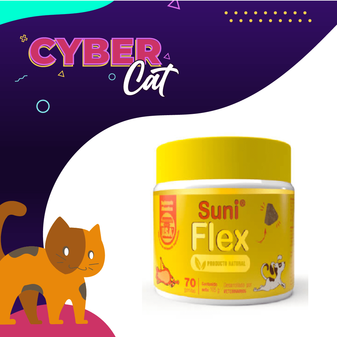 Felinuscl's tweet photo. @dompepomario les viene a recomendar este sabroso suplemento de @sunipetmascotas 🙀 para el cuidado de las articulaciones y movilidad 🐈. Aprovecha nuestras ofertas de #CyberDay 💜
.
.
.
#Cyber2021 #CyberCat #Gatos #Suniflex #FelinusCL #Gatos #GatosSenior https://t.co/qqLquaWLWz