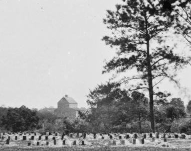 Image: Graves of the Union soldier reorganized into rows with a building and trees in the background.