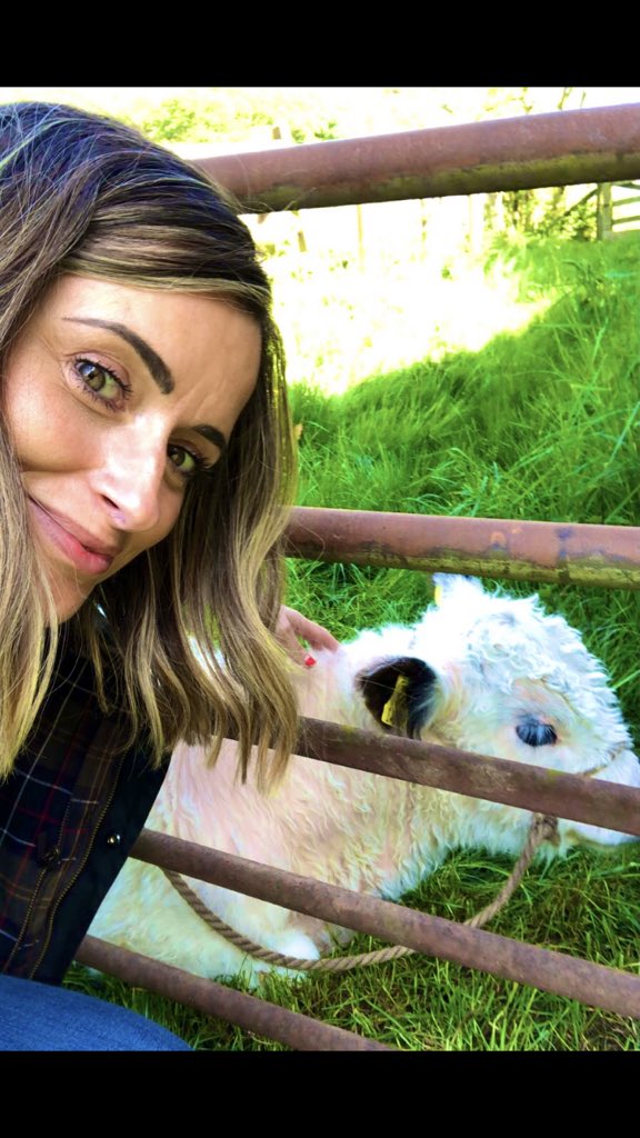 annemcalp's tweet image. Feels weird to be filming without my bunnet and four layers on! ☀️ Got my farm fix 🐄 🐮 👨‍🌾 #BBCLandward #beltedgalloways #farminglife #farmingphotos