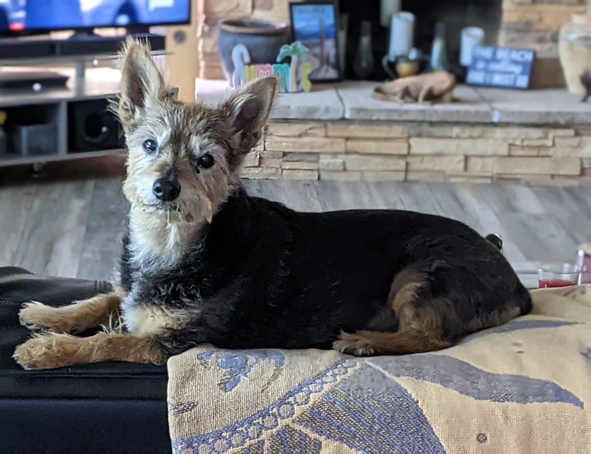 LMBoos's tweet image. I just absolutely love this sweet girl. ❤️❤️❤️❤️