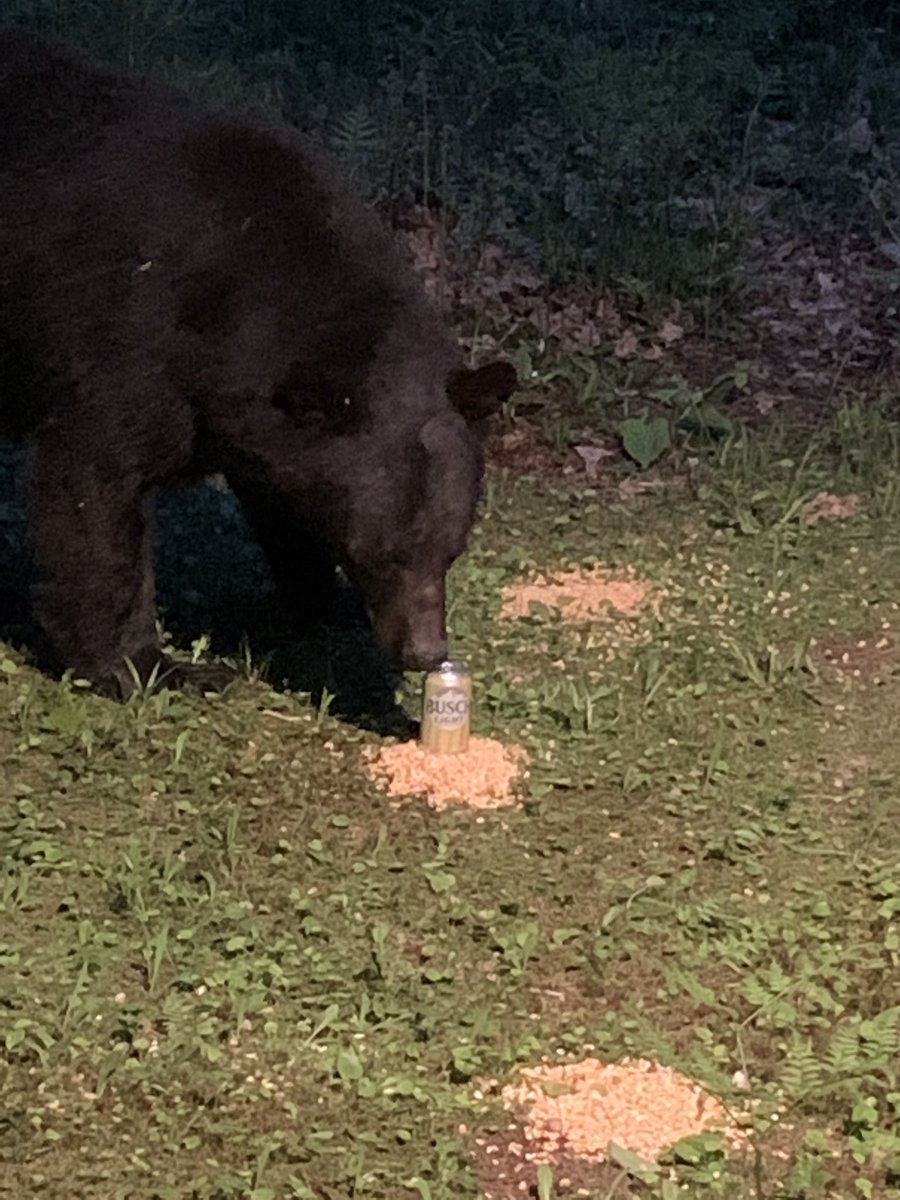 mellamackade's tweet photo. @BuschBeer https://t.co/BGmRaXOvFY