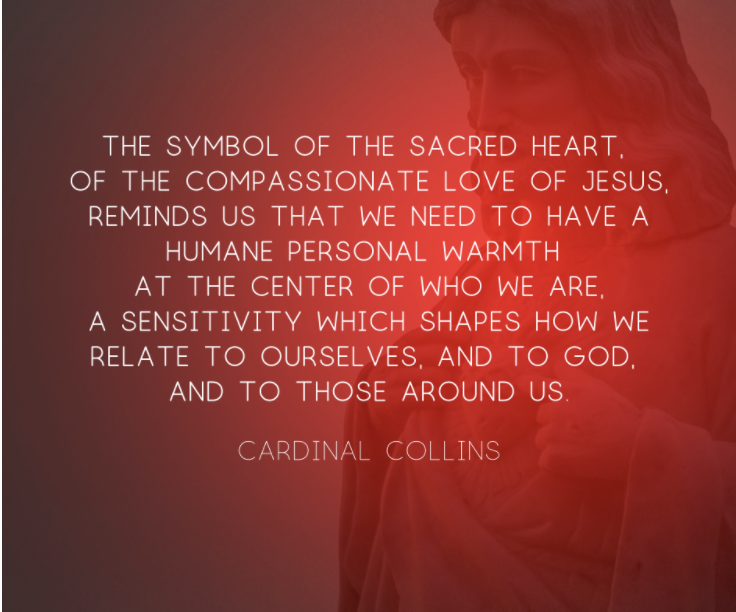 SMCDSB's tweet photo. Continue to celebrate the month devoted to the Sacred Heart of Jesus. Allow the mercy of Jesus to sweep over us &amp; over our hard-hearted world. “I desire mercy, not sacrifice. For I have not come to call the righteous, but sinners.” Matthew 9:13 #junedevotion #smcdsbprays https://t.co/gJPUMPF5DQ