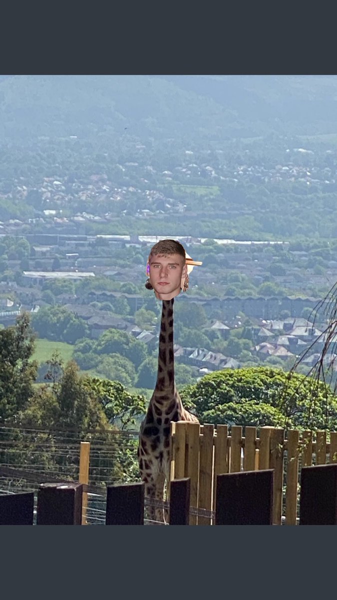 Kyle Wilson tweet media