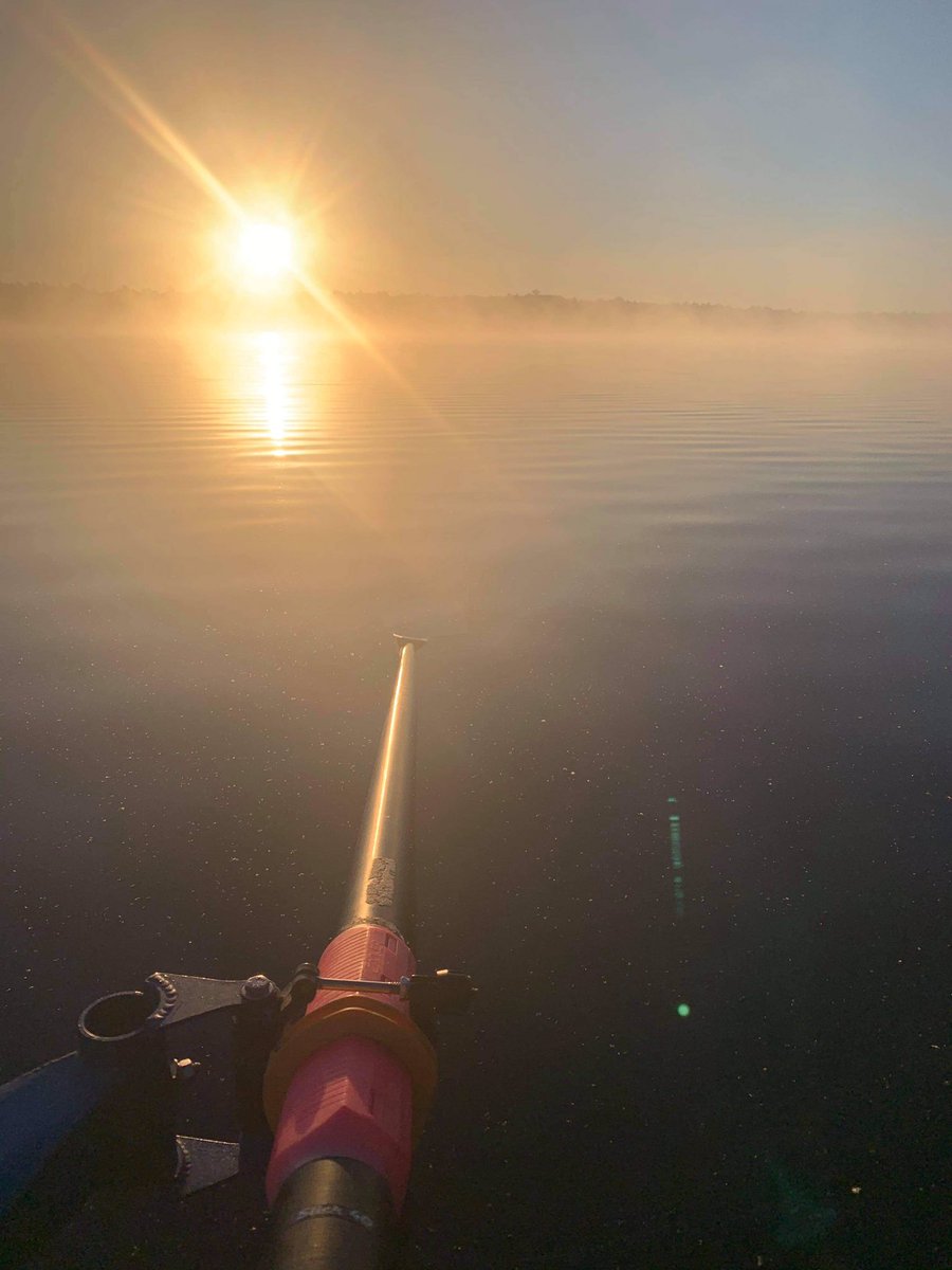 row_muskoka's tweet photo. Early morning row-Muskoka views @dianebarr0110 @Gateway2Muskoka @explorersedge @DiscoverMuskoka https://t.co/KDFV4ATNmB