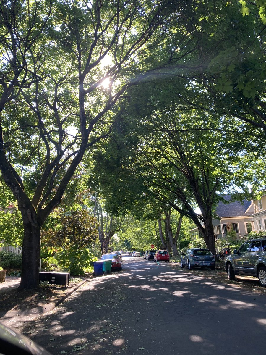 platano_papi666's tweet photo. portland u are quite beautiful https://t.co/XovWGEKw8J