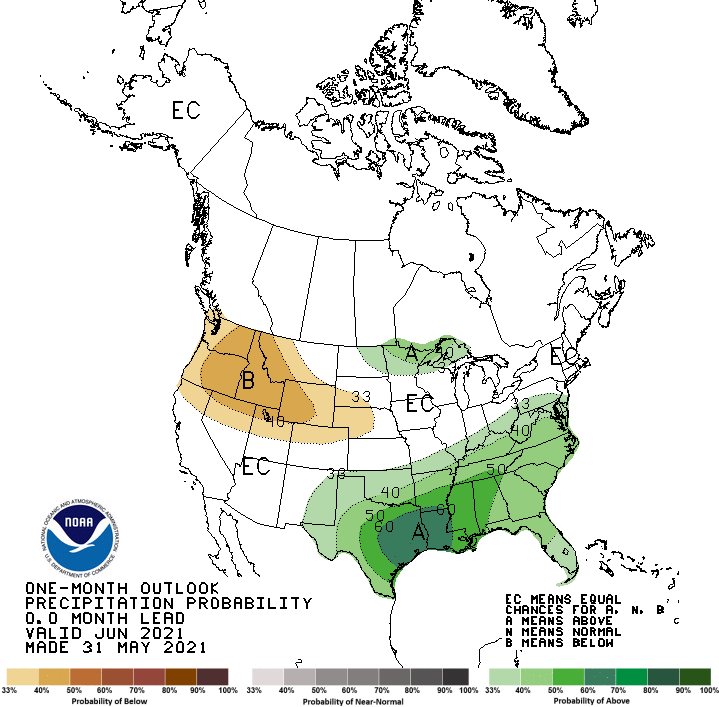 The new outlooks for the month of June from the Climate Prediction Center look to prolong drier and warmer than normal conditions for the Pacific Northwest. Seattle will close the month of May with three consecutive months of below normal rainfall. #wawx