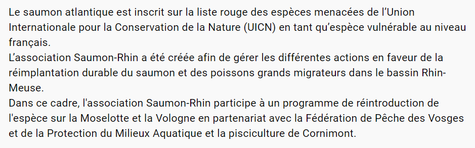 LiberteRuralite's tweet photo. Alevinage #Vosges (2020)
#Cornimont
Vidéo : https://t.co/K5MqmQGOBl
Pêcheurs, Collectivités, en partenariat avec l'@OFBiodiversite et l'association Saumon-Rhin, participent à un programme de réintroduction du #Saumon
#Moselle #Moselotte #Vologne #UICN
@LaFNPF
#LibertéRuralité https://t.co/pdWNXOrjT1