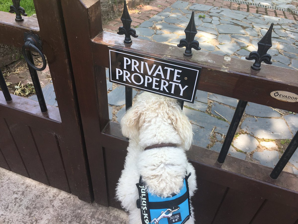 SW_FionaM's tweet photo. If you’re not allowed in, surely there’s something worth seeing! 🤣🤣 https://t.co/CNnrXqsyOS