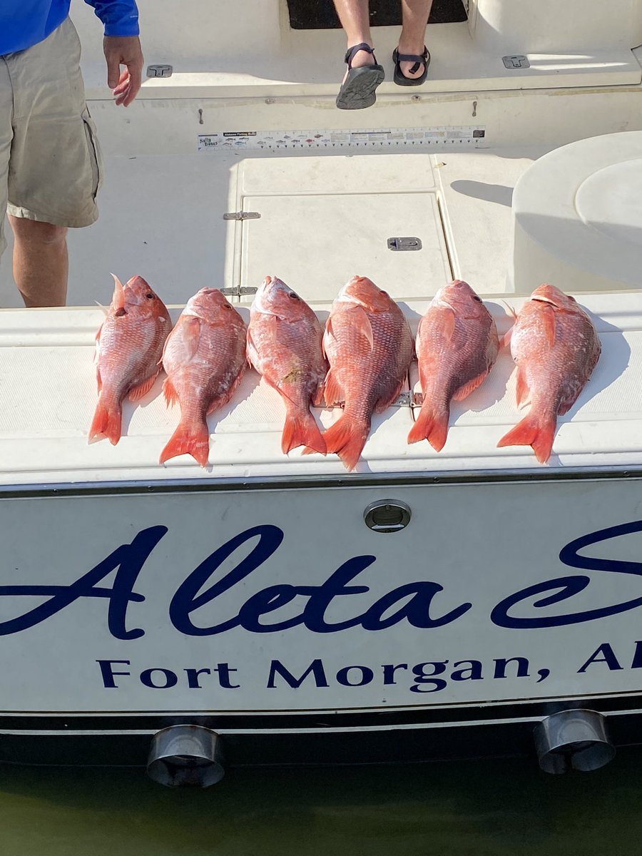muwxman's tweet photo. Not a bad haul this weekend. #RedSnapperSeason https://t.co/ISdOvdeBfS