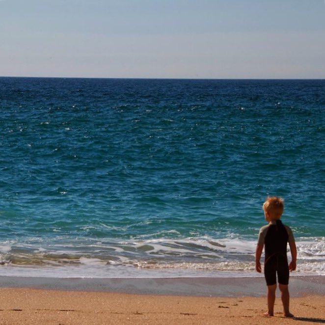 💭 probably thinking about dinosaurs 🦕