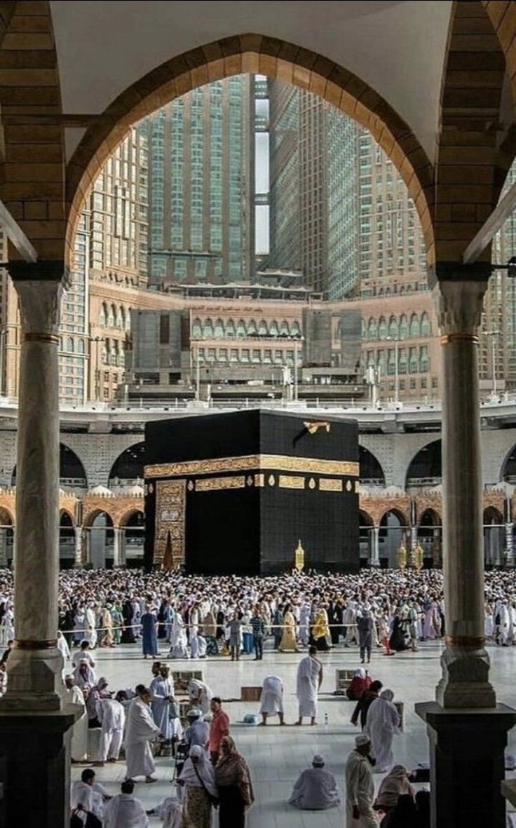 Scor_Queen's tweet photo. Nothing is more beautiful than this  💚🖤💚

#تم_سا_نہیں_ہے_کوئی https://t.co/psfjZM8JPM