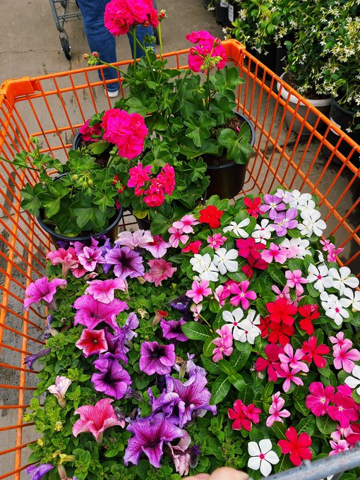 Getting the backyard ready for springtime 🌷 https://t.co/wokZt6N9m7