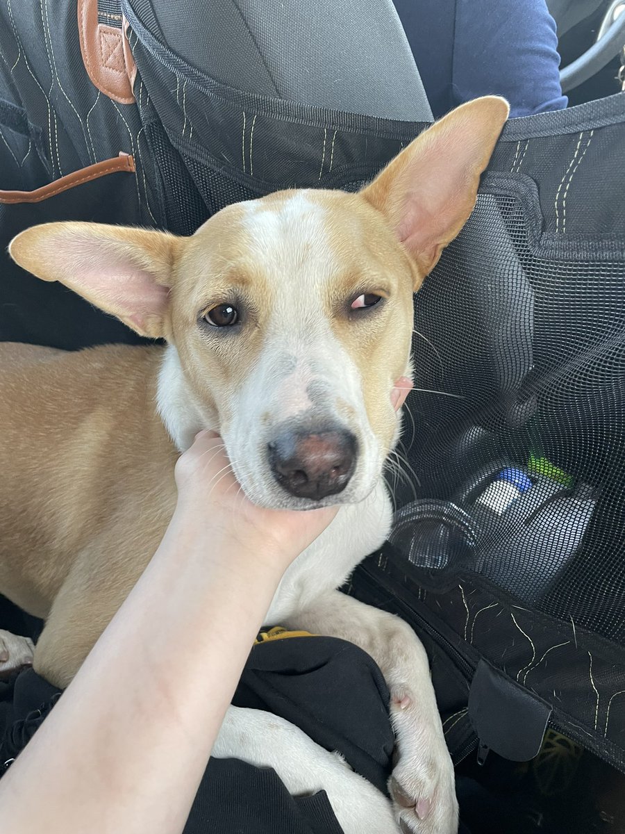 pleaseclapp's tweet image. SHUT UP IM AN AUNT