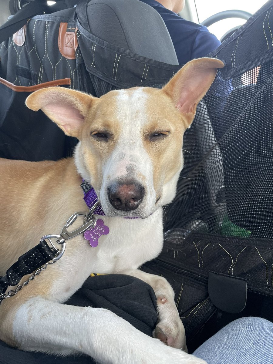 pleaseclapp's tweet image. SHUT UP IM AN AUNT