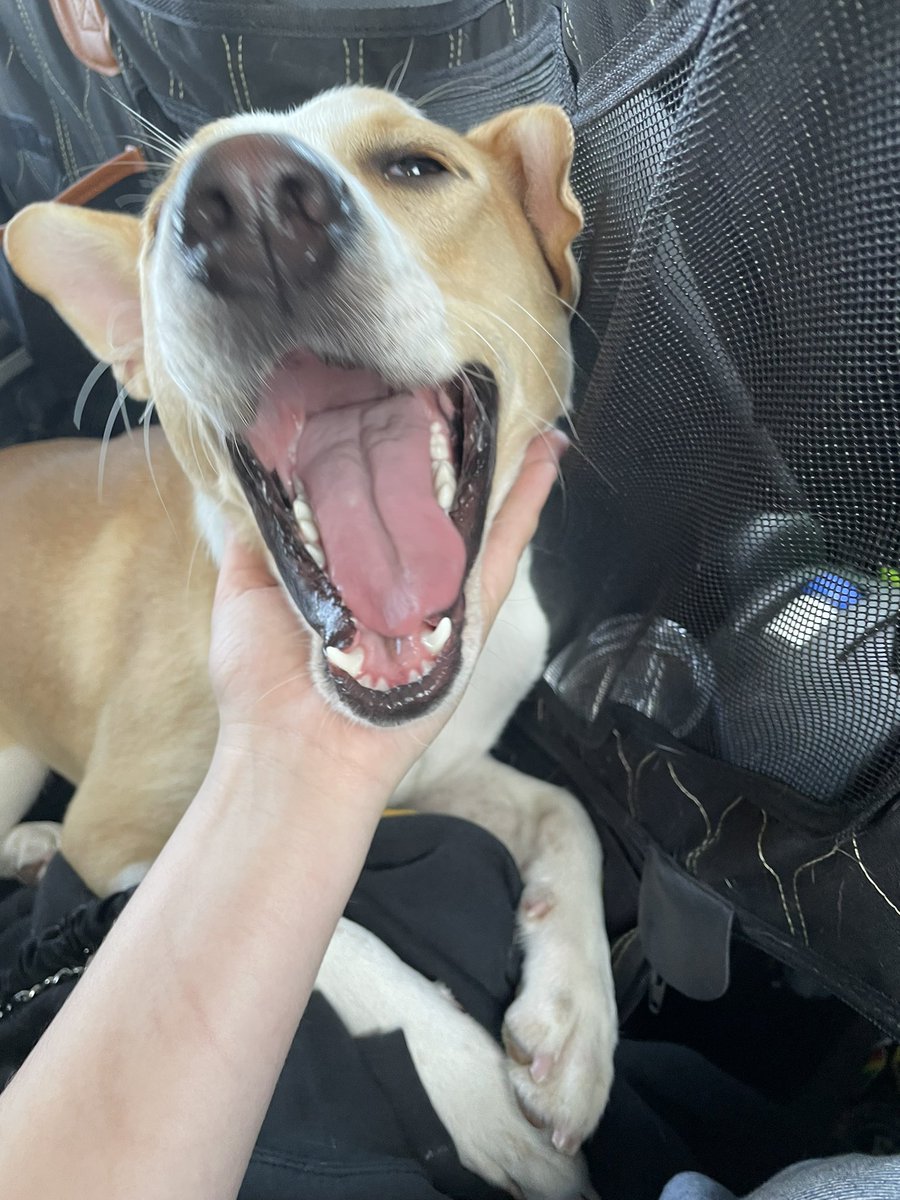 pleaseclapp's tweet image. SHUT UP IM AN AUNT