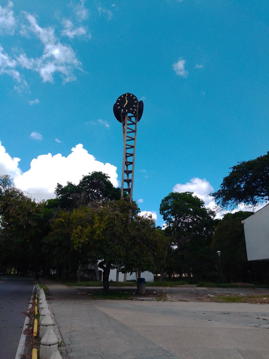 entrenoconYoly's tweet photo. Feliz día del egresado ucevista!! Y que viva la universidad carajo!!! #ucv #ucevista https://t.co/L9Iv71toB3