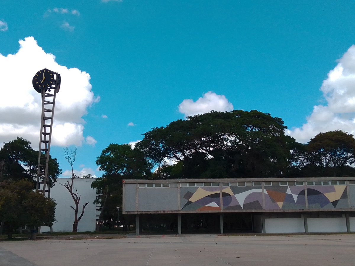 entrenoconYoly's tweet photo. Feliz día del egresado ucevista!! Y que viva la universidad carajo!!! #ucv #ucevista https://t.co/L9Iv71toB3