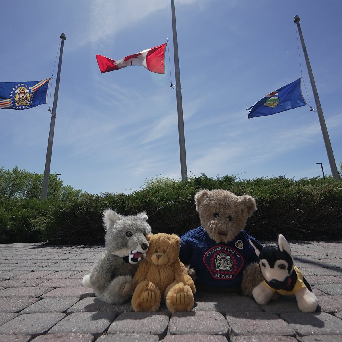As we grieve the 215 children whose lives were lost at the former Kamloops residential school, our flags have been lowered to half mast. To honour their loss, we invite you to leave your porch light on and place a teddy bear on your front step tonight at 6 p.m.
