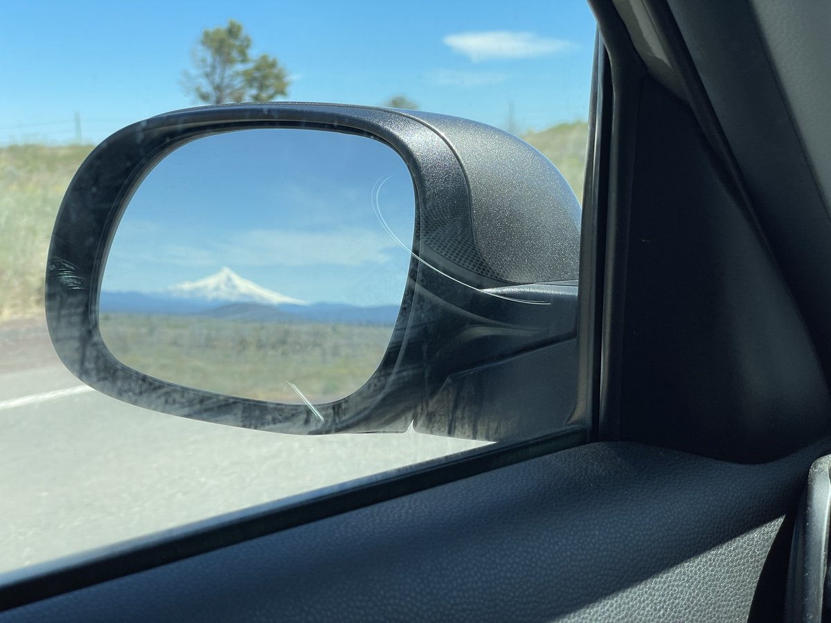 Paul Gerald tweet media