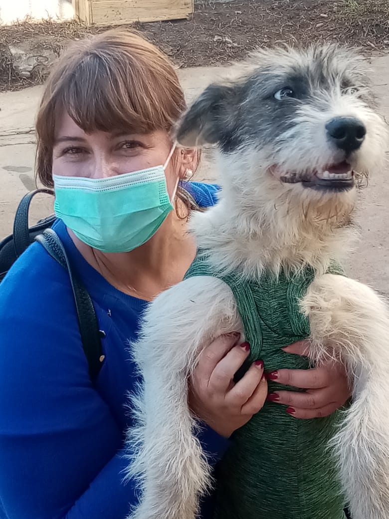 AnimalParaiso's tweet photo. La peque fue adoptada, ahora vivirá en Quillota. 🐕❤️ https://t.co/Kknb2vVMIu