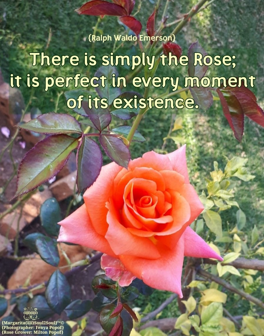 Soul2SoulBlog's tweet image. 🧿ღ•*¨*•.¸¸Namasté 🙏 Amen 
Please visit my Soul2Soul FB page 
facebook.com/margarita.soul…