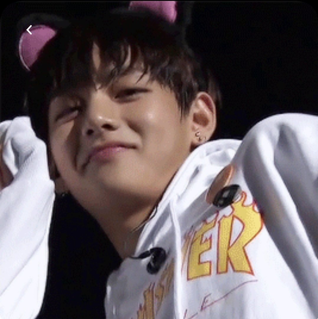 VLIXBLOG's tweet image. catboys say: meoww 🐱 #V #Felix