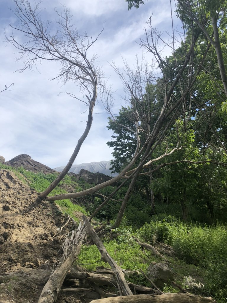 dontmesswthedon's tweet photo. Another threat to the #DonValley we are fighting: encroachment and debris spill from commercial neighbouring properties. Trees and vegetation destroyed by Parkview @SuppliesToronto in Charles Sauriol Park. @BradMBradford we need an investigation. https://t.co/opaw8HMOQR