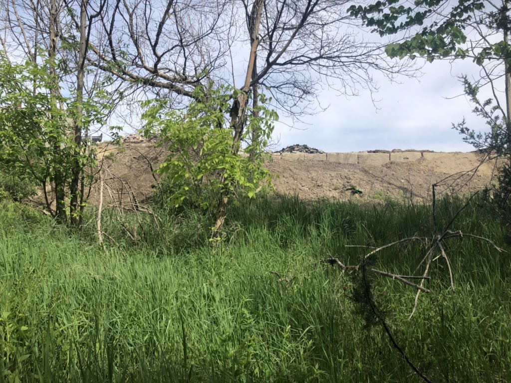dontmesswthedon's tweet photo. Another threat to the #DonValley we are fighting: encroachment and debris spill from commercial neighbouring properties. Trees and vegetation destroyed by Parkview @SuppliesToronto in Charles Sauriol Park. @BradMBradford we need an investigation. https://t.co/opaw8HMOQR