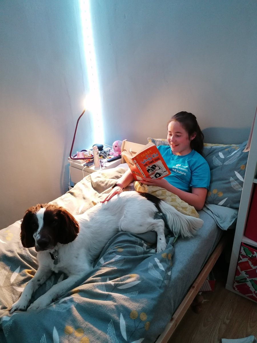 Miss C is reading Flash a bedtime story 🐾❤️💙📚 #bedtime #story #Read @MrsEdwards_VPS <a href="/VictoriaPrimSch/">Victoria Primary</a>