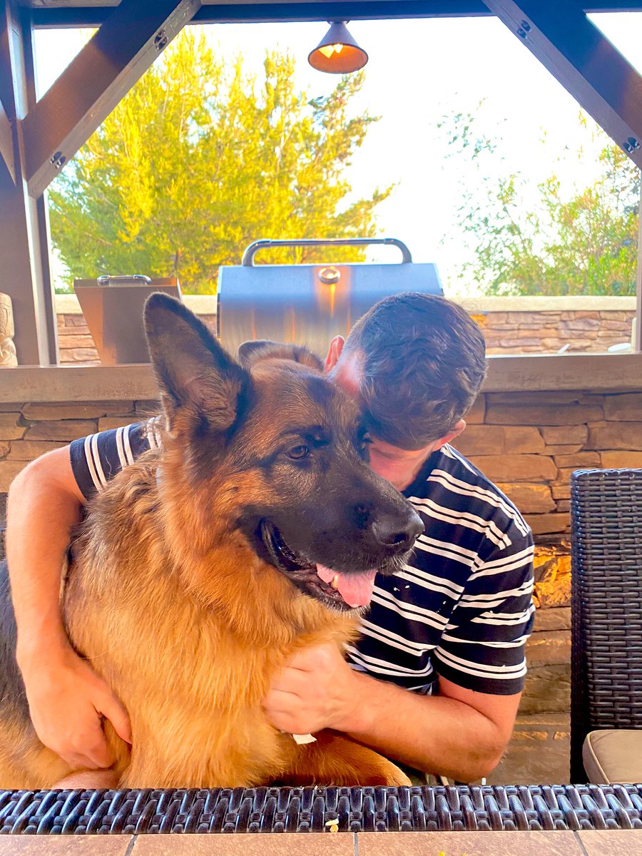 bisping's tweet photo. He’s still with us the big softy, but not sure if he’ll be here much longer. Fingers crossed though. https://t.co/7WPgLaD7tR