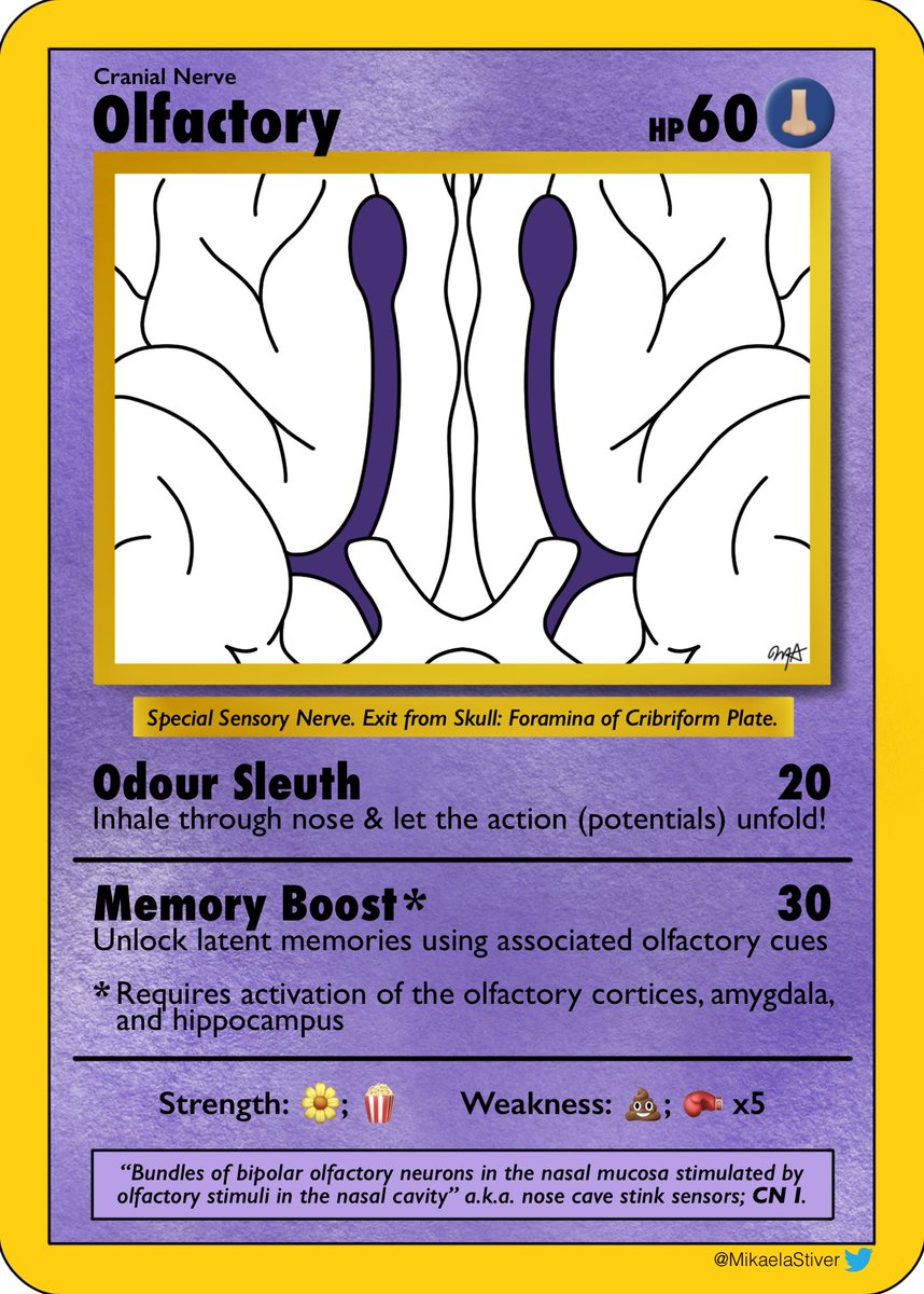 Mikaela Stiver, PhD tweet media