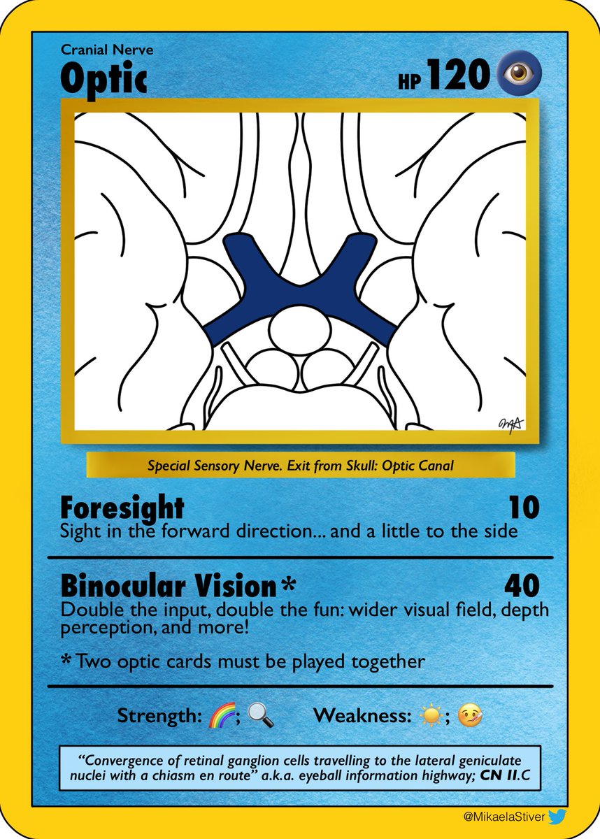 Mikaela Stiver, PhD tweet media