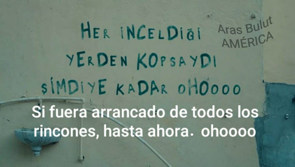 ARAS Bulut America tweet media