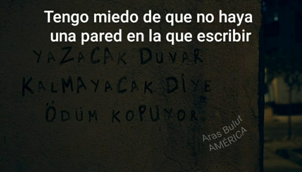 ARAS Bulut America tweet media