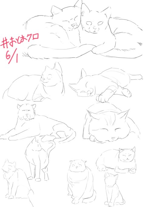 #おはクロ 