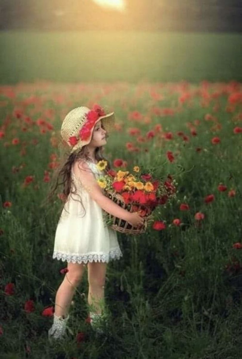 خذْ في الصباحِ من الصباحِ لَقاحا
ضدَّ التّخاذُلِ إنْ أردتَ نجاحا

واملأْ بهِ رِئةَ الصعودِ إلى العُلا
واجعلْهُ في وجهِ النّكُوصِ سلاحا

ناديتَ : يا فتّاحُ أيقِظْ هِمّتي
وانشرْ بِفضلِك للوصولِ جناحا

هذا الصباحُ وهذهِ أسرارُهُ
تُحيي القلوبَ وتُلْهِمُ الأرواحا
#زهرة_التفاؤل