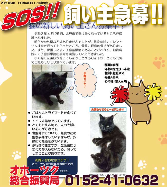 Follow No おにぎり No Life S Onigirimon1216 Latest Tweets Twitter