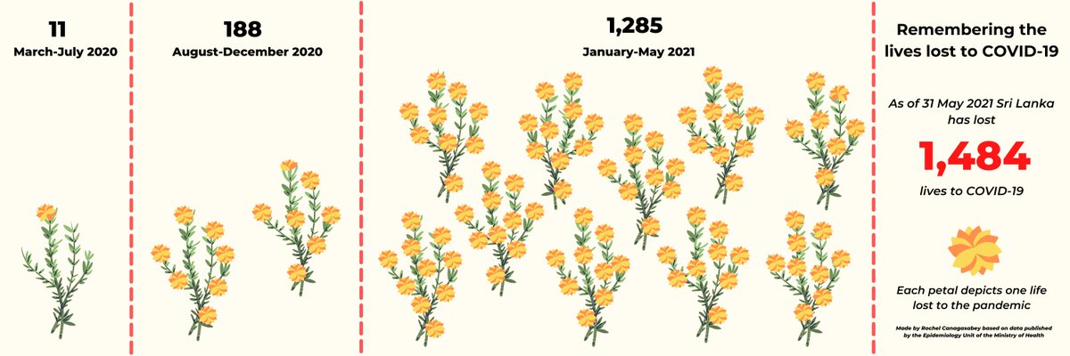 Remembering the 1484 lives lost to #COVID19SL in #lka 🕯️

They were not just numbers. They had family &amp; friends who loved &amp; cherished them

We may not know them, but it is up to us to remember each &amp; every one of them in our own little way

Each petal represents a life lost 🌻