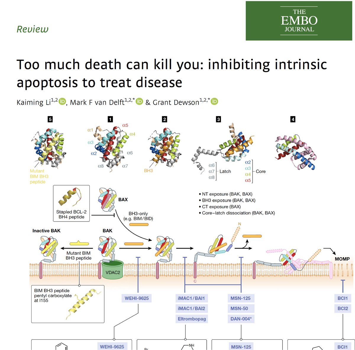 Kaiming Li (Kaiming_L) Twitter