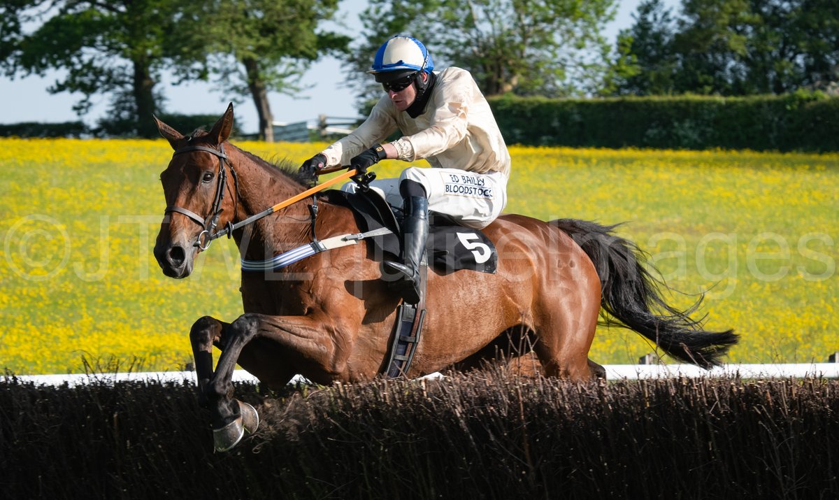 JTW Equine Images tweet media