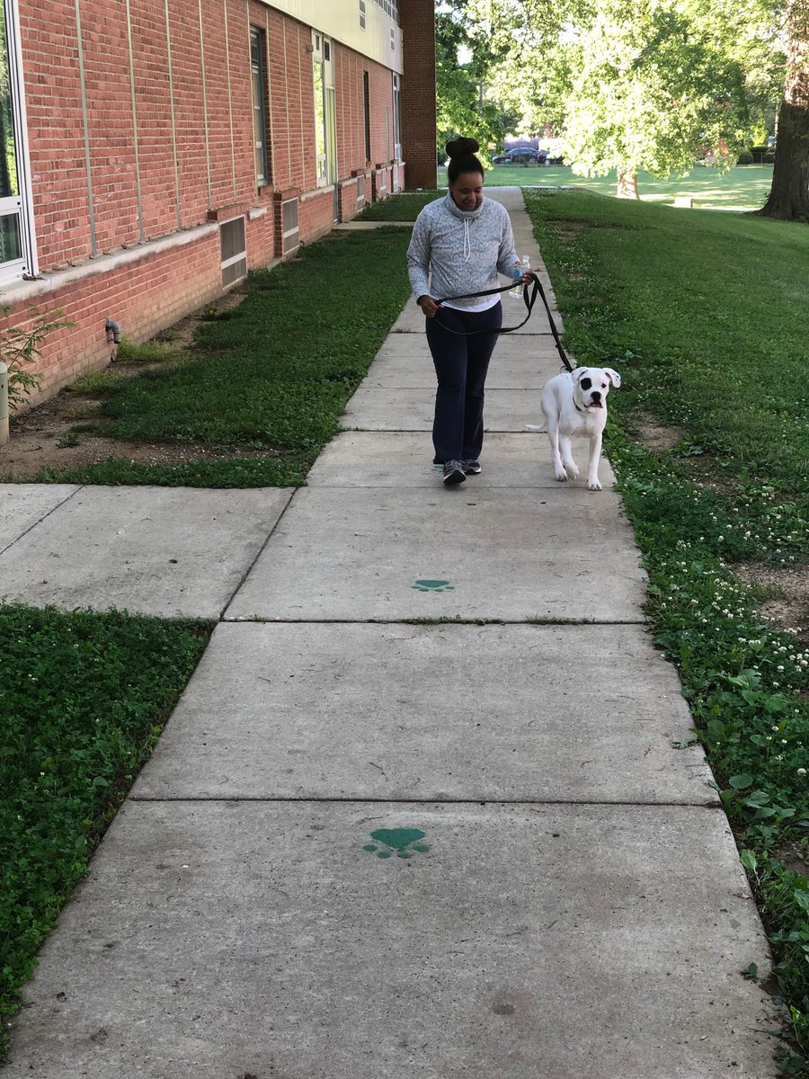 Hebbville4thGrade tweet media