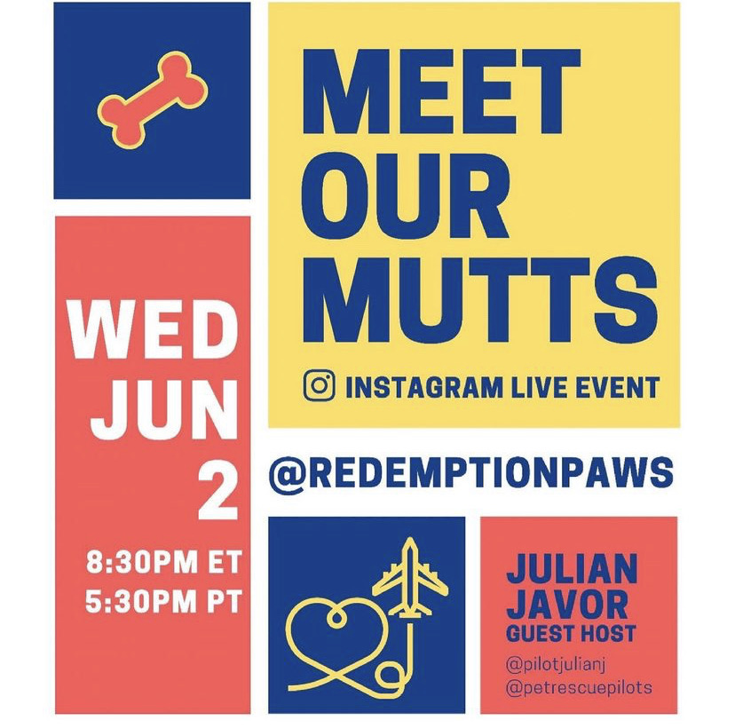 RedemptionPaws's tweet photo. Did someone say puppies?!? Our #MeetOurMutts event is back with @pilotjulianj of @petrescuepilots! โ๏ธ
Tune in on Instagram! There WILL be puppies and a prize give away!!!
#redemptionpaws #meetourmutts #doglife #rescuedogs #AdoptDontShop https://t.co/tpRCBTO5sE
