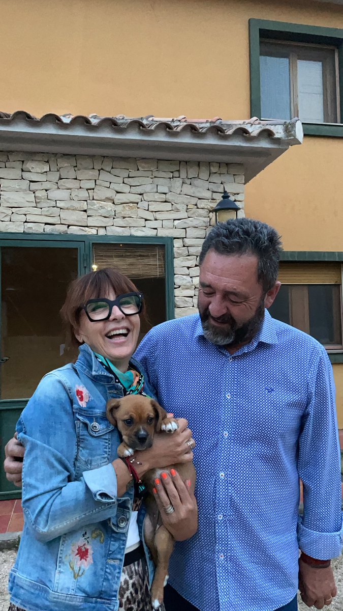 CarlaMenor13's tweet photo. Hoy hemos adoptado un perrito y no puedo estar maaaaaaaas feliz💖💖💖💖💖💖💖 bienvenida a casa Lola 💖💖🌈🌈 https://t.co/jmePJBxnlo