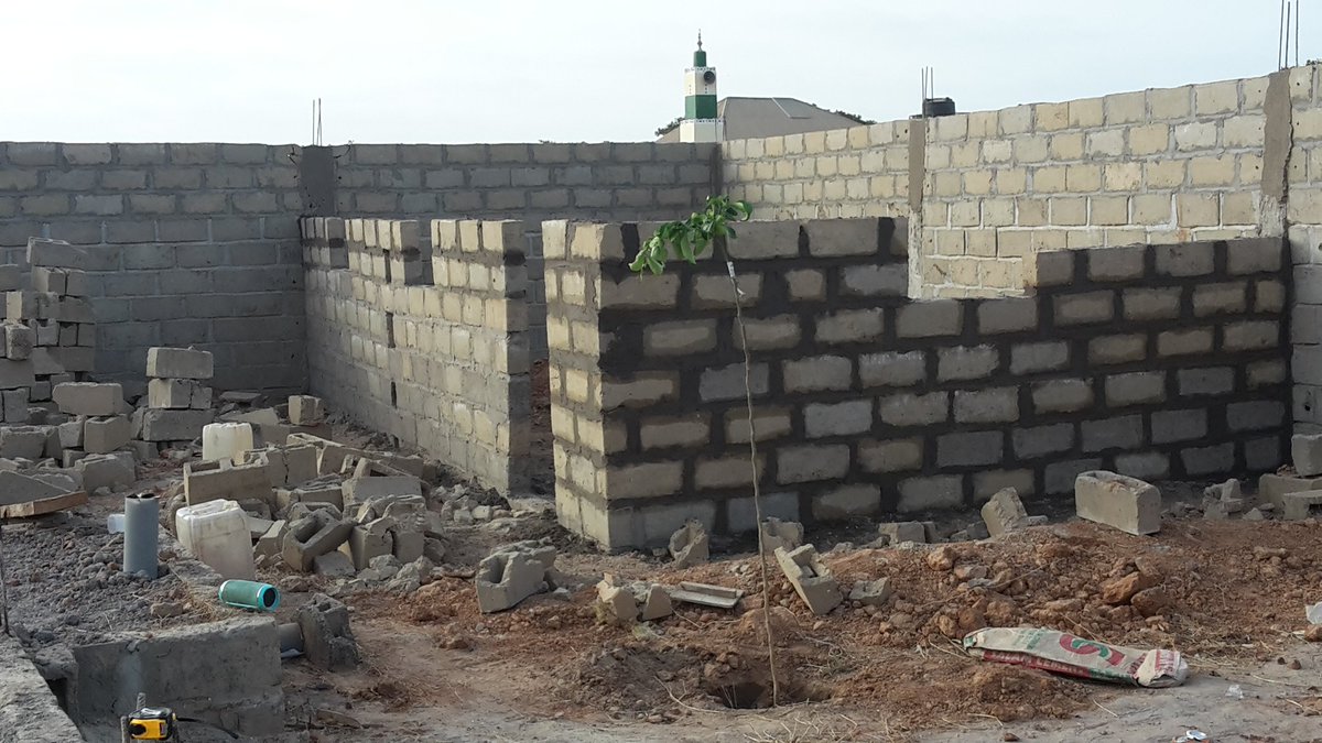 Momojum (@momojum2) on Twitter photo 