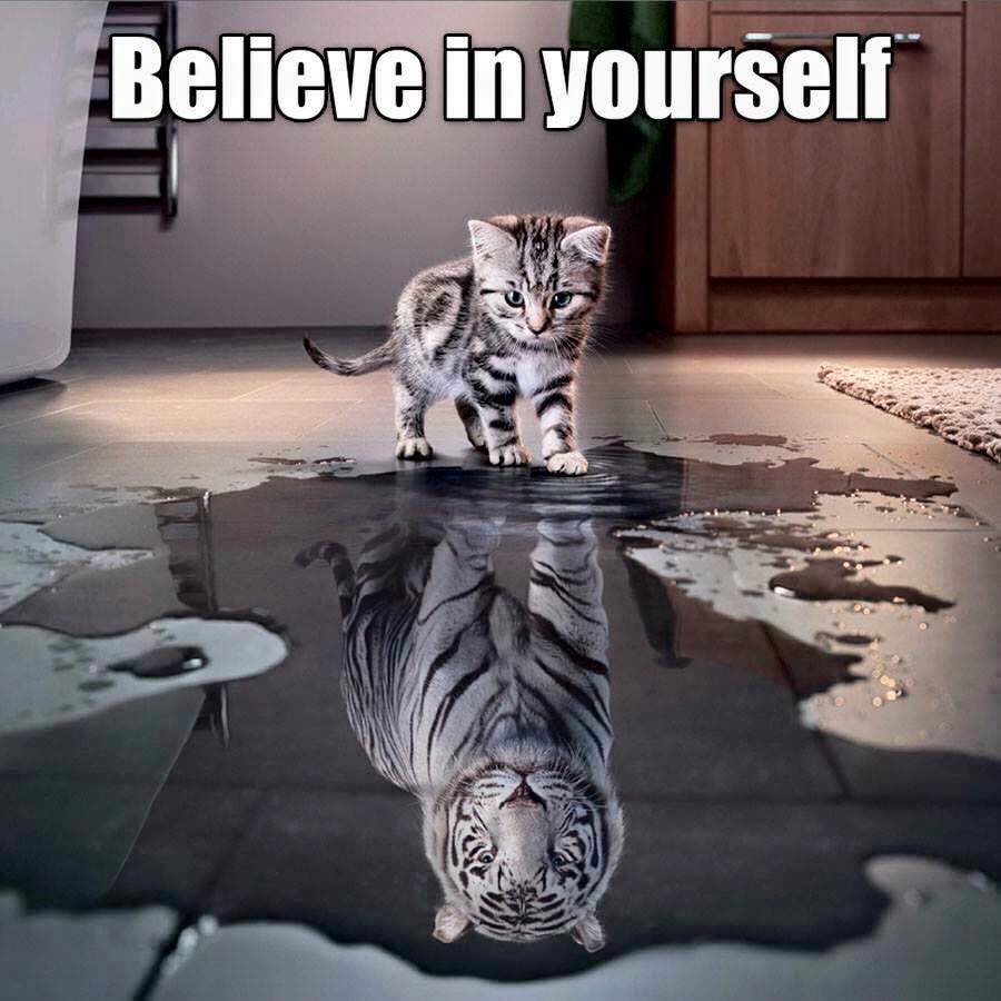 BELIEVE IN YOURSELF
