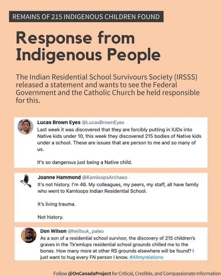 Destination Indigenous tweet media