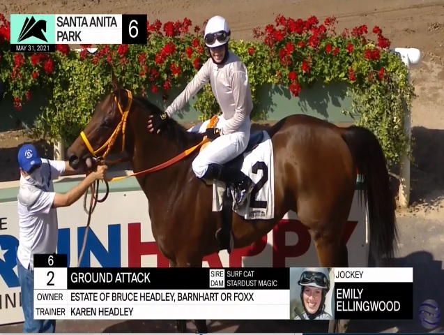 Art Martineau on Twitter: 