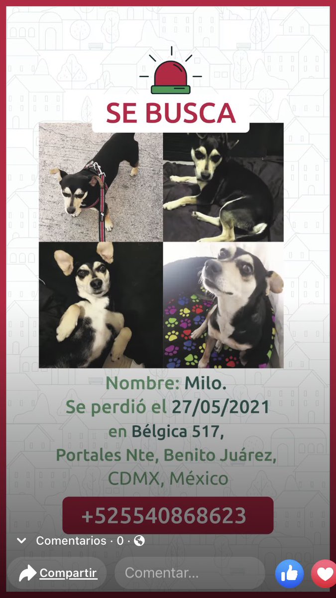 Eviux Ardillux tweet media