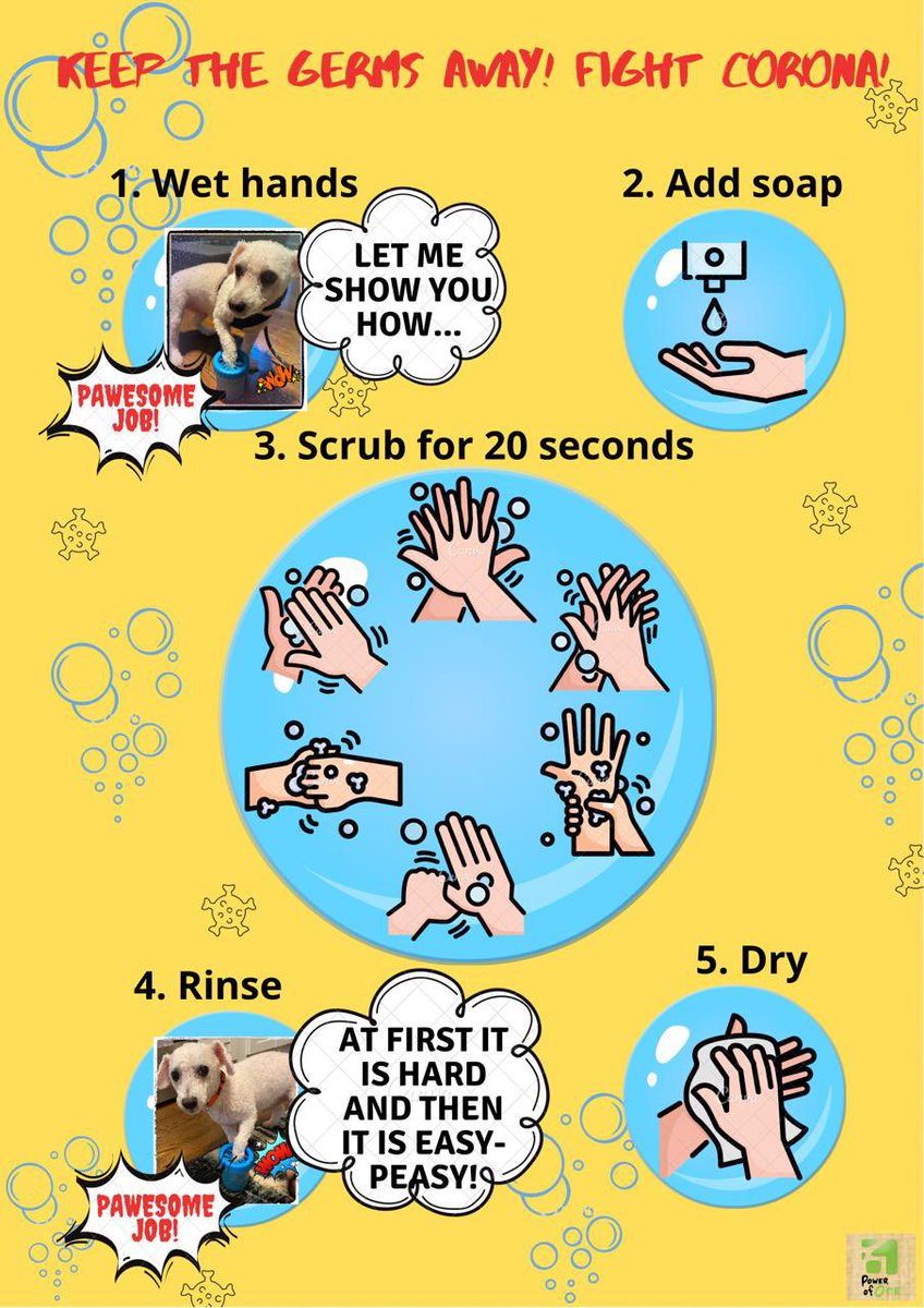 PowerOfOne007's tweet photo. Hello Frens ! Let’s do a pawesome job washing your hands! Let me show you how!
#COVID19 #handhygiene #handwashing https://t.co/Kid1BF57QU https://t.co/TZNGt4NOK9